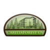 carelia forest