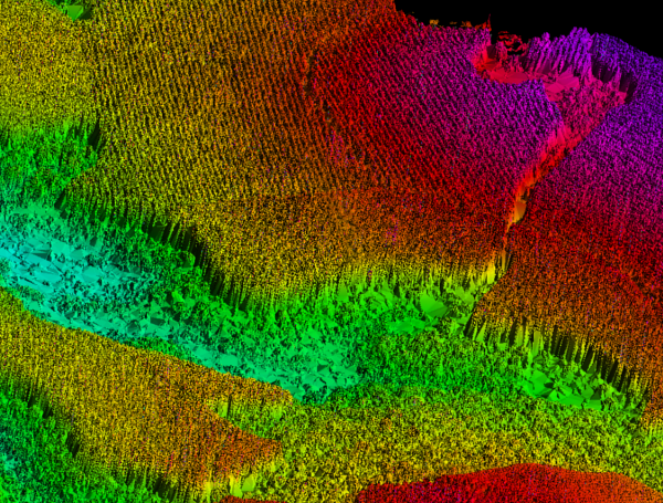LiDAR point cloud data from Swedish forest