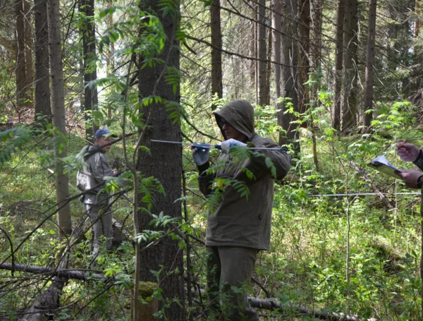 Two men measuring field plots for LiDAR-based forest inventory in Russia