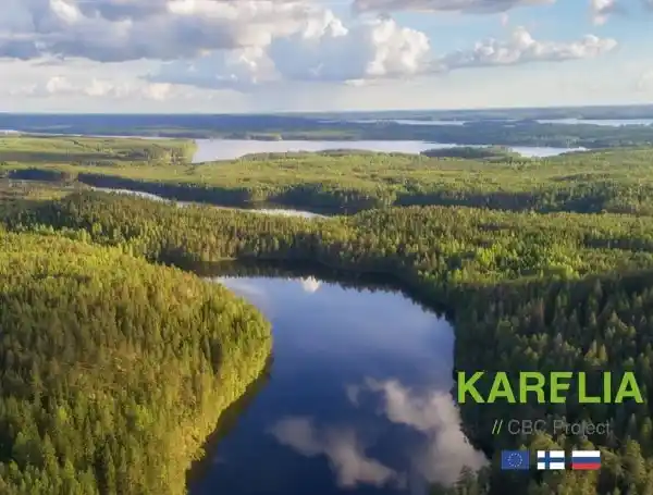 Summery landscape from Finland with green forest and lakes