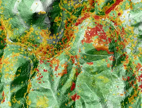 Vegetation and Topography Map Portugal