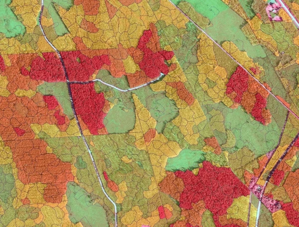 Precise forest inventory with LiDAR data