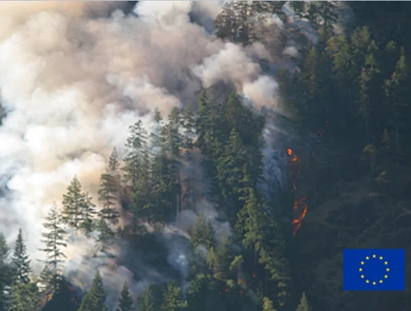 Unified response to forest fires in Europe 