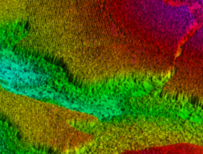 LiDAR point cloud data from Swedish forest